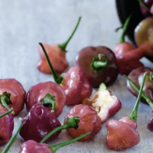 Fresh purple and red chili peppers with stems on a light surface.